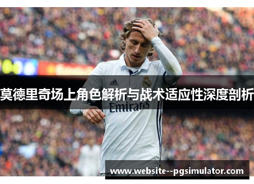 莫德里奇场上角色解析与战术适应性深度剖析