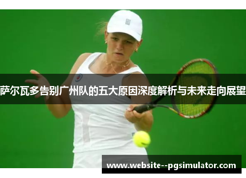 萨尔瓦多告别广州队的五大原因深度解析与未来走向展望