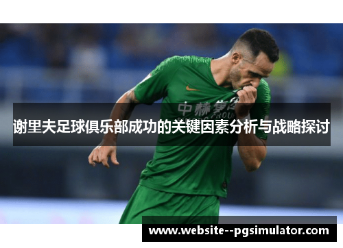 谢里夫足球俱乐部成功的关键因素分析与战略探讨