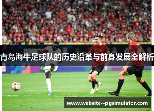 青岛海牛足球队的历史沿革与前身发展全解析