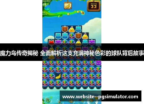 魔力鸟传奇揭秘 全面解析这支充满神秘色彩的球队背后故事 魔力鸟传奇揭秘 全面解析这支充满神秘色彩的球队背后故事