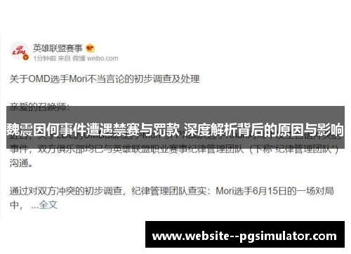 魏震因何事件遭遇禁赛与罚款 深度解析背后的原因与影响 魏震因何事件遭遇禁赛与罚款 深度解析背后的原因与影响