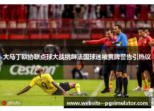 大马丁欧协联点球大战挑衅法国球迷被黄牌警告引热议