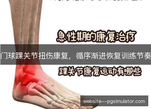 门球踝关节扭伤康复，循序渐进恢复训练节奏